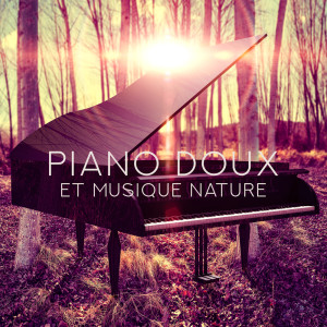 收聽Musique Douce Academy的Visualisation歌詞歌曲