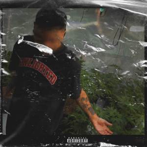 อัลบัม Autotune ศิลปิน Big Deiv