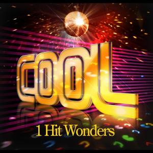 Various Artists的專輯Cool - One Hit Wonders