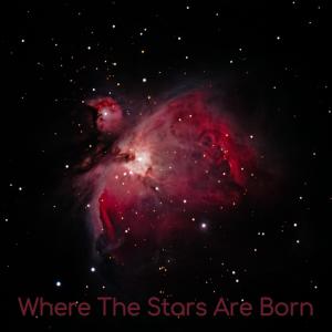 Listen to Into The Black Hole song with lyrics from Fredrik Schulz