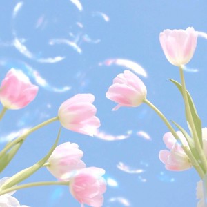 收聽Madeline的約定 (完整版)歌詞歌曲