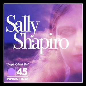 收聽Sally Shapiro的Purple Colored Sky (Instrumental)歌詞歌曲