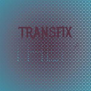 Album Transfix Them from Various