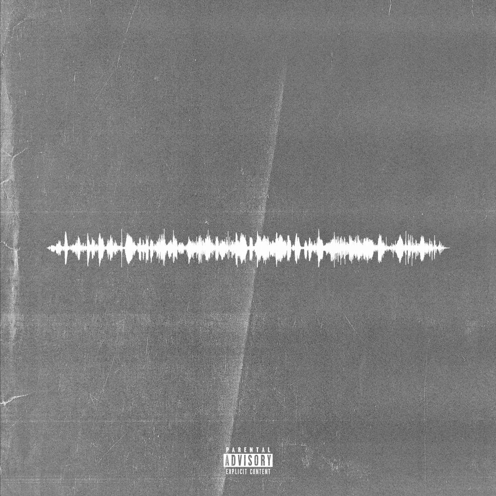 The ShakeDown (feat. HaSizzle) (Explicit)