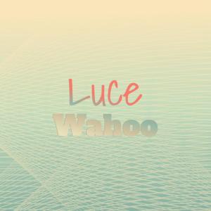 Listen to Abd Roll song with lyrics from Elecia Gissell