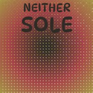收聽Sunell Mida的Neither Sole歌詞歌曲