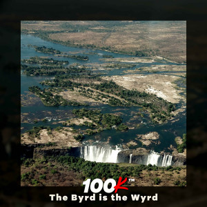 Album The Byrd is the Wyrd oleh 100k
