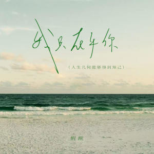 Listen to 我只在乎你 (人生几何能够得到知己) (伴奏) song with lyrics from 醒醒