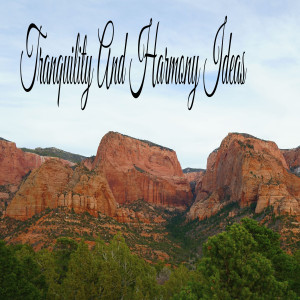 Album Tranquility And Harmony Ideas oleh Classical New Age Piano Music