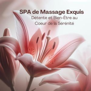 อัลบัม Spa de Massage Exquis (Détente et Bien-Être au Coeur de la Sérénité) ศิลปิน Tranquility Spa Center