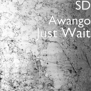 Album Just Wait from SD Awango