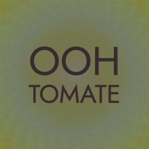 Listen to Wee Quaker song with lyrics from Atte Teky