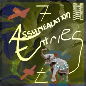 default album img