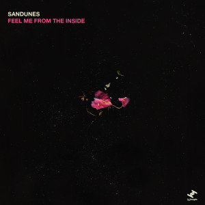 Album Feel Me From The Inside from Sandunes