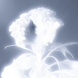 Listen to Waves song with lyrics from Gardens & Villa