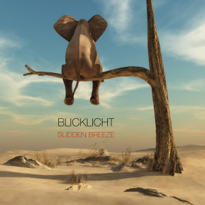 ดาวน์โหลดและฟังเพลง Still the One พร้อมเนื้อเพลงจาก Blicklicht