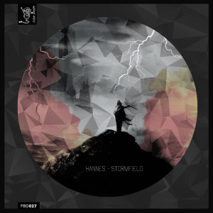 Hannes 的專輯Stormfield