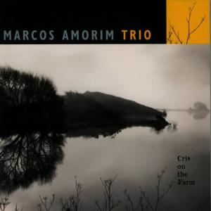 收聽Marcos Amorim Trio的Sodalita歌詞歌曲