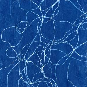 Album Cirkler from Anna Roemer