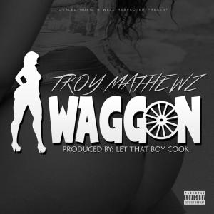 Album WAGGON (Explicit) from Troy Mathewz