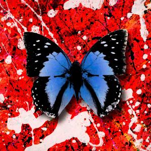 ดาวน์โหลดและฟังเพลง 2step (feat. Ellinoora) พร้อมเนื้อเพลงจาก Ed Sheeran