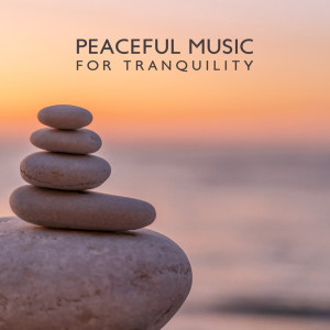 Balanced Yoga Relaxation的专辑Peaceful Music for Tranquility (Tranquil Spa Harmony, Deep Meditation and Balance Body and Soul)