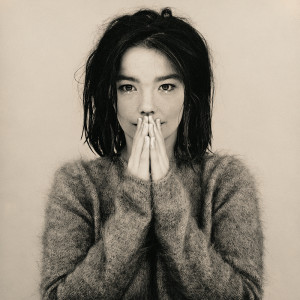 ดาวน์โหลดและฟังเพลง The Anchor Song พร้อมเนื้อเพลงจาก Björk