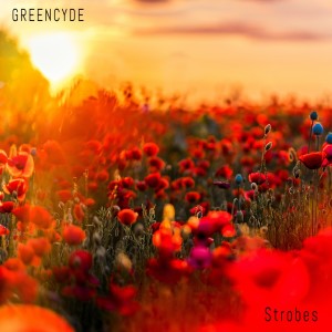 Listen to Strobes song with lyrics from Greencyde
