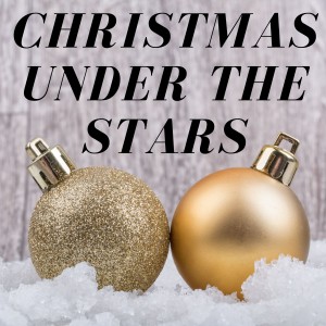 Eileen Farrell & Luther Henderson & His Orchestra的专辑Christmas Under the Stars