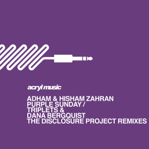 Listen to Purple Sunday (Dana Bergquist Remix) song with lyrics from Adham Zahran
