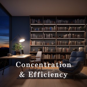 Concentration & Efficiency