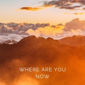 Album Where Are Yo Now oleh Junta