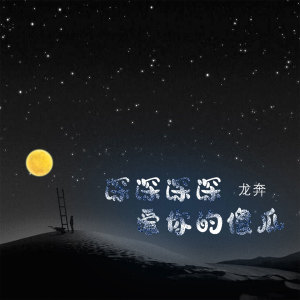 Listen to 深深深深爱你的傻瓜 (DJ版) song with lyrics from 龙奔