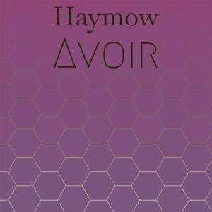 Various Artists的专辑Haymow Avoir