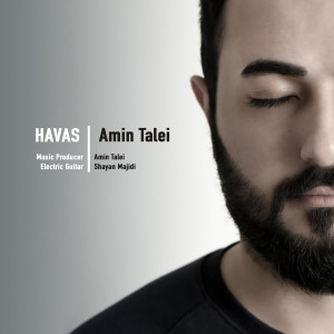 收听Amin Talei的Havas歌词歌曲