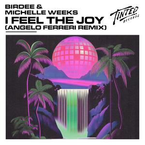 Birdee的專輯I Feel the Joy (Angelo Ferreri Remix)
