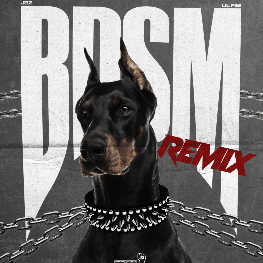 B.D.S.M. (Remix) (Explicit) (Remix|Explicit)