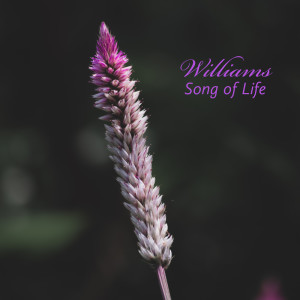 Album Song of Life from WILLIAMS