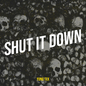 Dengarkan Shut It Down (Explicit) lagu dari Yung Tex dengan lirik