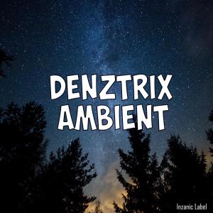 Listen to Ambient song with lyrics from Denztrix