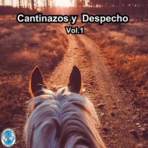 收聽Los Cuyitos的Honda Herida歌詞歌曲