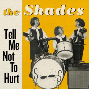 ดาวน์โหลดและฟังเพลง Tell Me Not to Hurt พร้อมเนื้อเพลงจาก The Shades