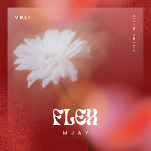 Mjay的專輯Flex