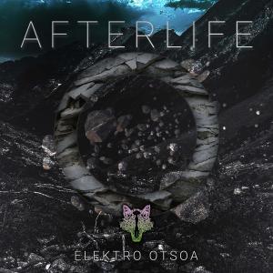 Album Afterlife from Elektro Otsoa