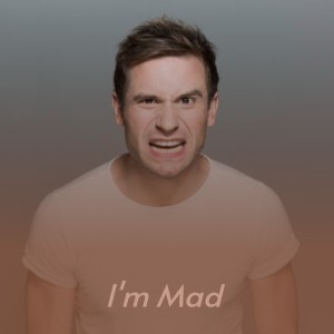 Album I'm Mad oleh Various