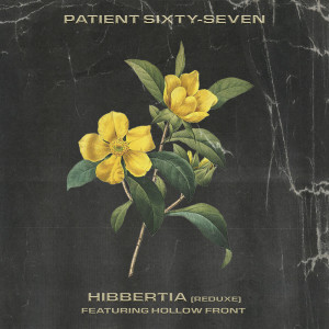 Hollow Front的專輯Hibbertia (Reduxe)