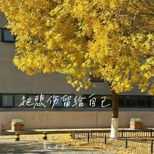 收听赵十三的把悲伤留给自己歌词歌曲