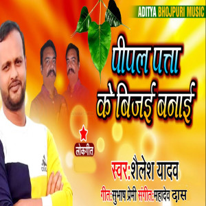 Album Pipal Patta Ke Bijai Banai from 