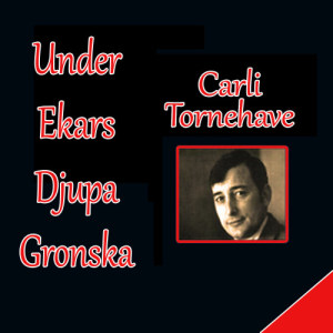 收聽Carli Tornehave的Mary Rose (Bloesem Van Seringen)歌詞歌曲