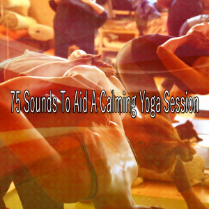 ดาวน์โหลดและฟังเพลง Yoga Embrace พร้อมเนื้อเพลงจาก Yoga Music